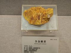-湖南省地质博物馆