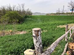 -大连铭湖国际观光牧场