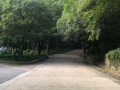 -灵谷景区