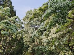 -国家植物园南园