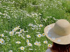 -汉长安城未央宫国家考古遗址公园