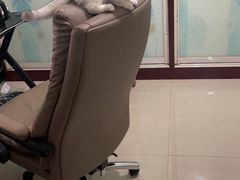 -宠颐生·恒爱宠物医院(静海店)