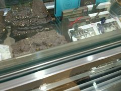 -VENCHI 闻绮(上海佛罗伦萨小镇店)