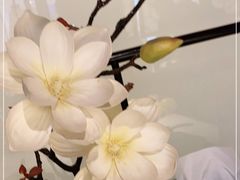 -唐·玉芙蓉(雨花吾悦广场店)