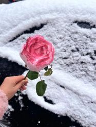 -Lily纤美·科技减脂中心