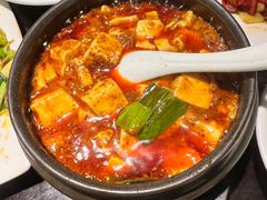 -陈麻婆豆腐总店