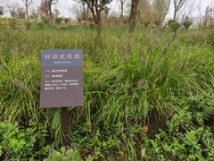 -汉长安城未央宫国家考古遗址公园