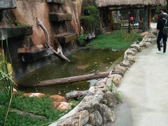 -观澜山水田园