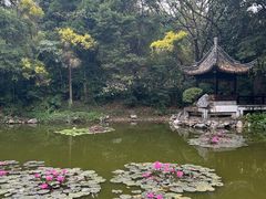 -深圳国际园林花卉博览园