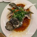 老广爱饮茶