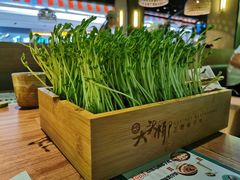 豆苗-大头椰·椰子鸡火锅(桂林万象城店)