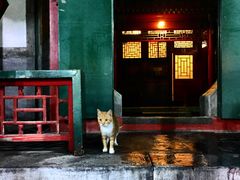 门面-楚畹园