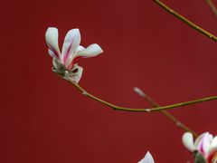 -东华门大街小区