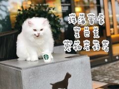 -星巴克(珠海仁恒滨海中心店)