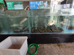 -东江渔村·古典园林·30年粤菜老字号(太和店)