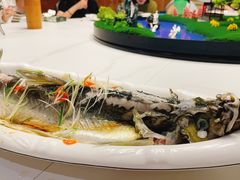 翘嘴鱼-醉美东江·三文鱼·烧鸡公
