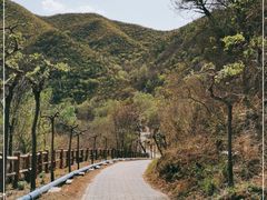 -双龙峡