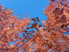 -北京西山国家森林公园