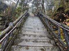 -汤旺河林海奇石景区