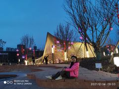 -三圣花乡旅游区