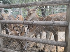 -静之湖湖畔餐厅