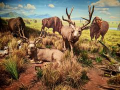 -陕西自然博物馆