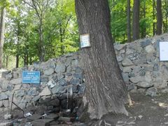 -阳台山自然风景区