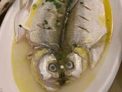 清蒸白鱼-锡和无锡菜(景丽苑店)
