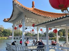 -荔湾湖公园