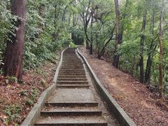 -白云山风景名胜区