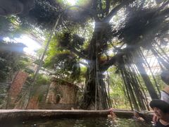 -龙达温泉生态城