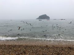 -棒棰岛宾馆景区