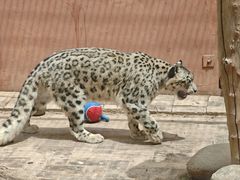 -青藏高原野生动物园