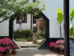 -上海醉白池公园