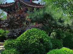 -大连植物园