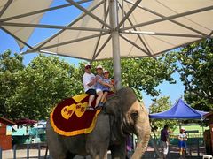 -西霞口神雕山野生动物世界