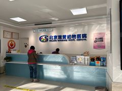 -北京观赏动物医院·24小时大型综合·猫专科·异宠专科