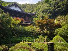 -十八棵（老龙井）御茶园(老龙井店)