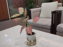 -美年大健康体检中心(浦东美张分院)