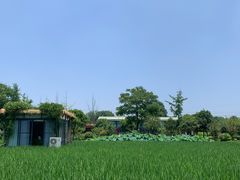 -洪湖家庭农场·团建·露营·会议