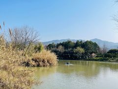 -西溪国家湿地公园