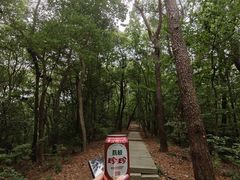 -九曜山