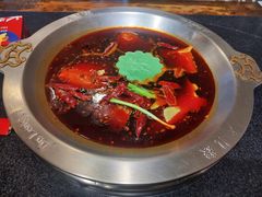 -大龙燚火锅(春熙店)