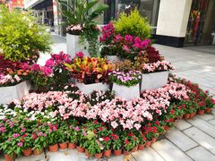 -星巴克(杭州湖滨银泰E区店)