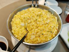 -丁老爷子苏香圆