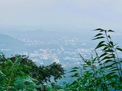 -香山公园
