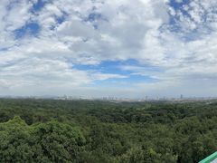 -南京老山国家森林公园