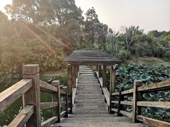 -艾溪湖湿地公园