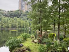 -重庆彩云湖湿地公园