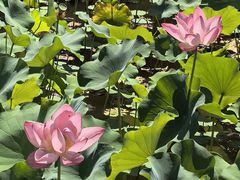 -木塔寺遗址生态公园